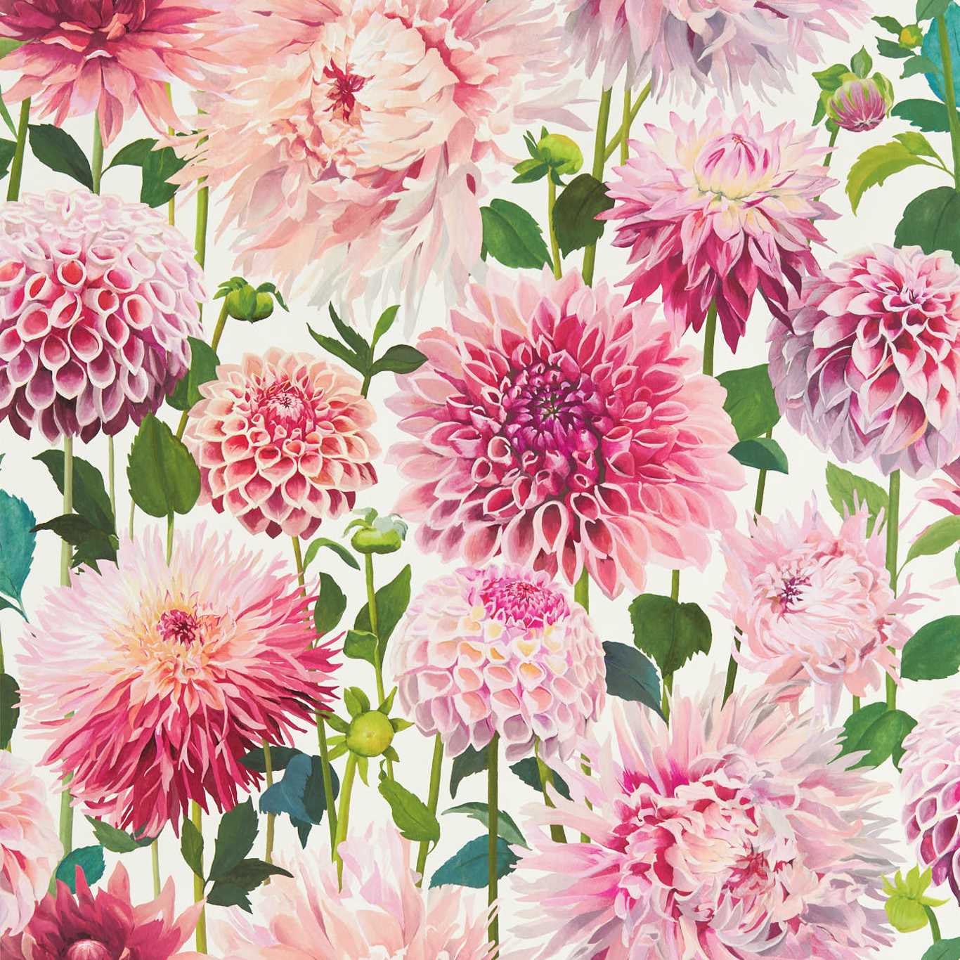 Carta da parati Harlequin Dahlia