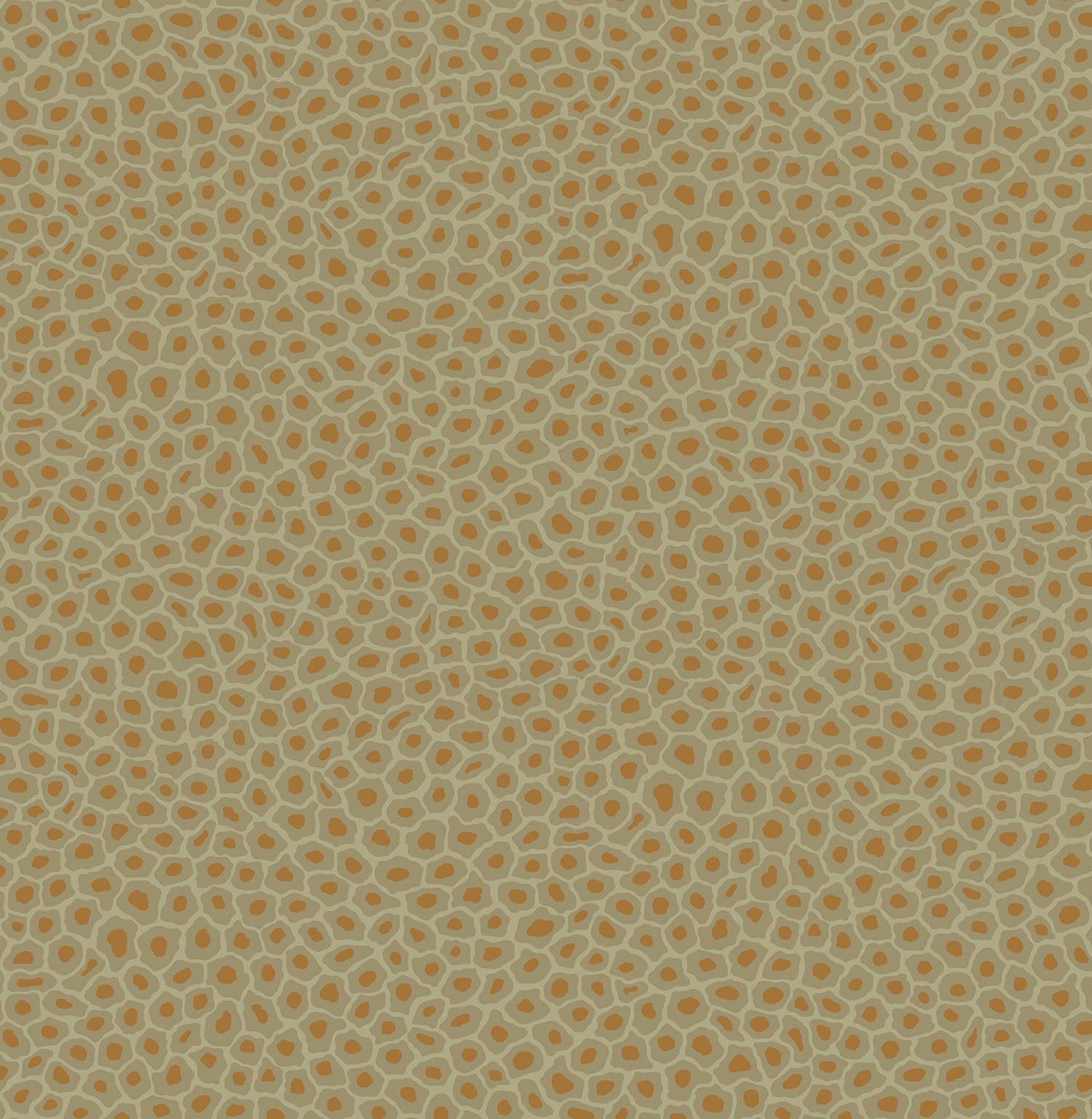 Carta da parati Cole&Son Senzo Spot