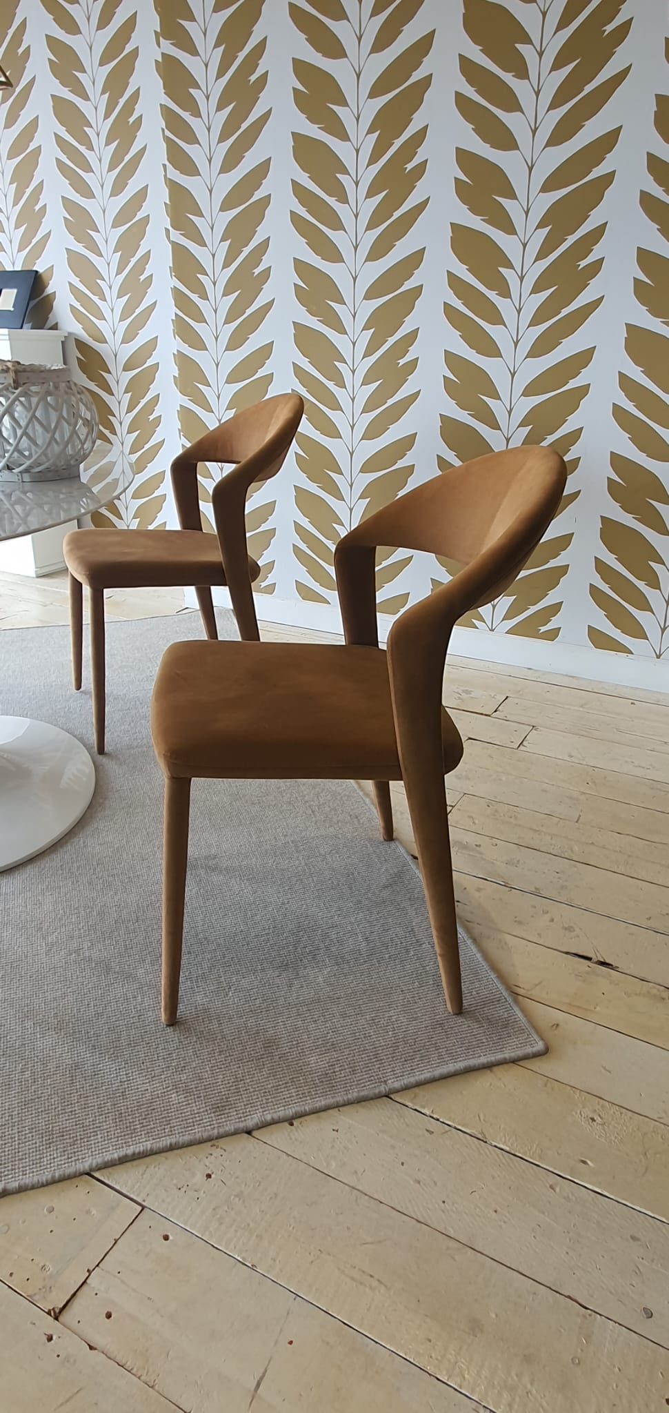 4 sedie Denver TP - esposizione MM2