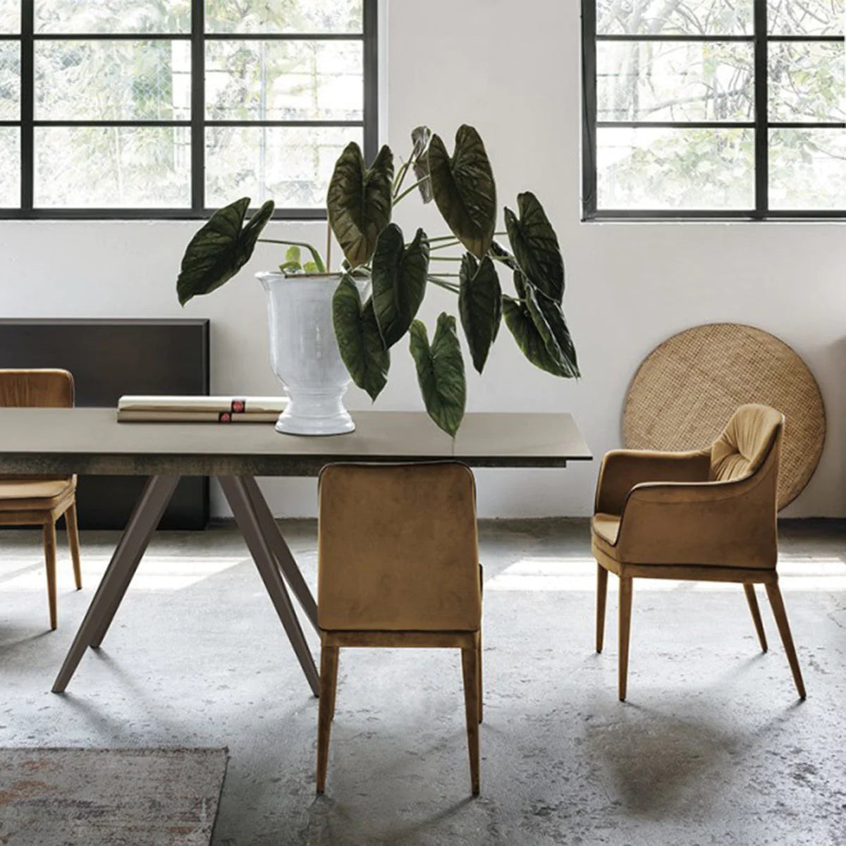 Poltroncine Dallas N° 4 LSG - esposizione MM0