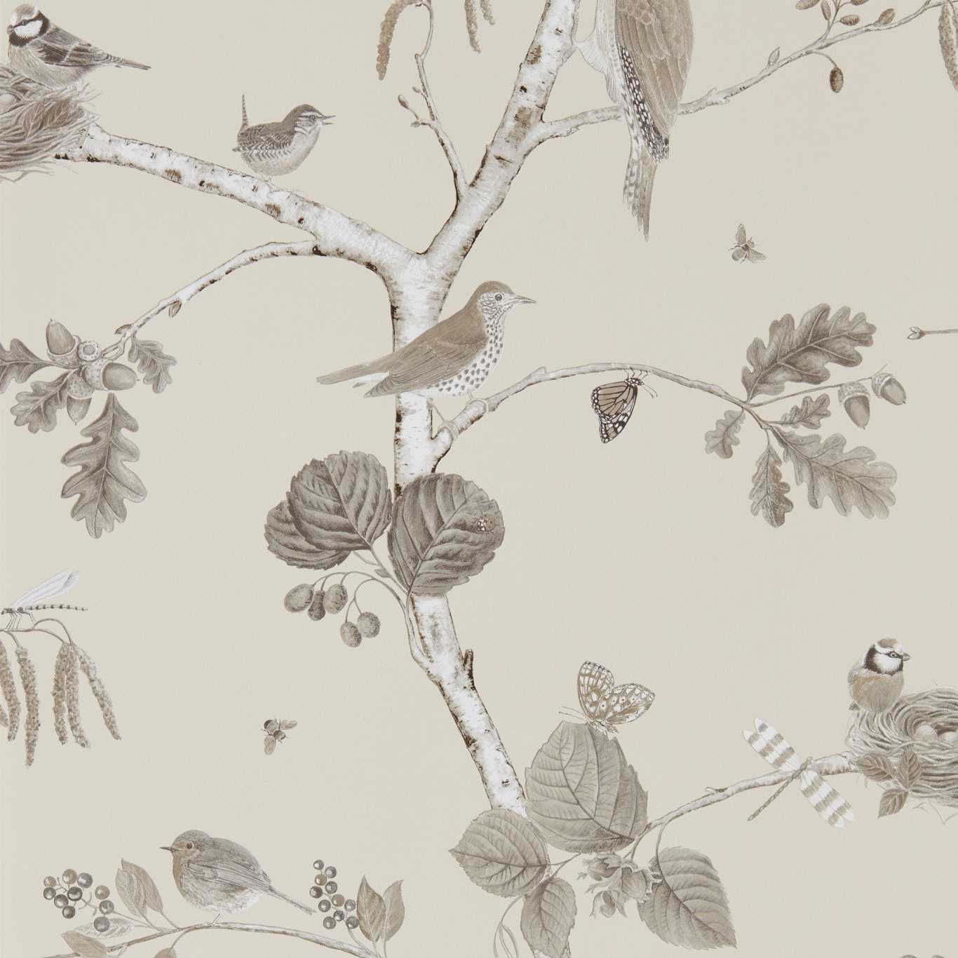 Carta da parati Sanderson Woodland Chorus