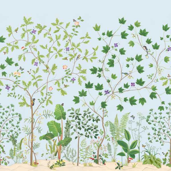 Carta da Parati Sanderson Sycamore and Oak