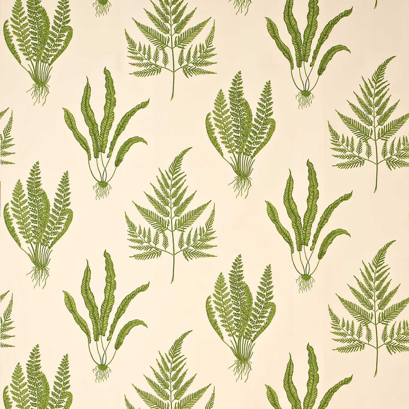 Tessuto Sanderson Woodland Ferns - Brand_Sanderson, Fantasia_Natura, Uso_Rivestimento cuscini, Uso_Rivestimento poltrone, Uso_Tende - Tessuti - Sanderson