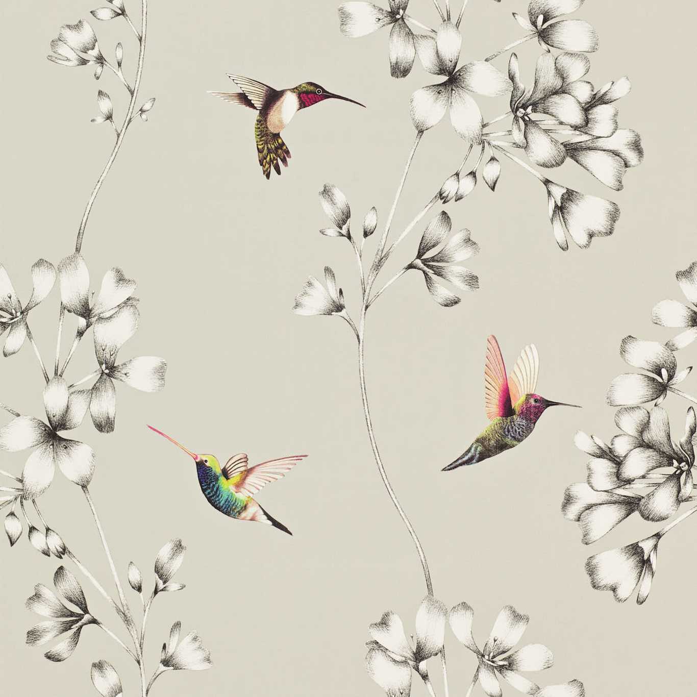 Carta da parati Harlequin Amazilia