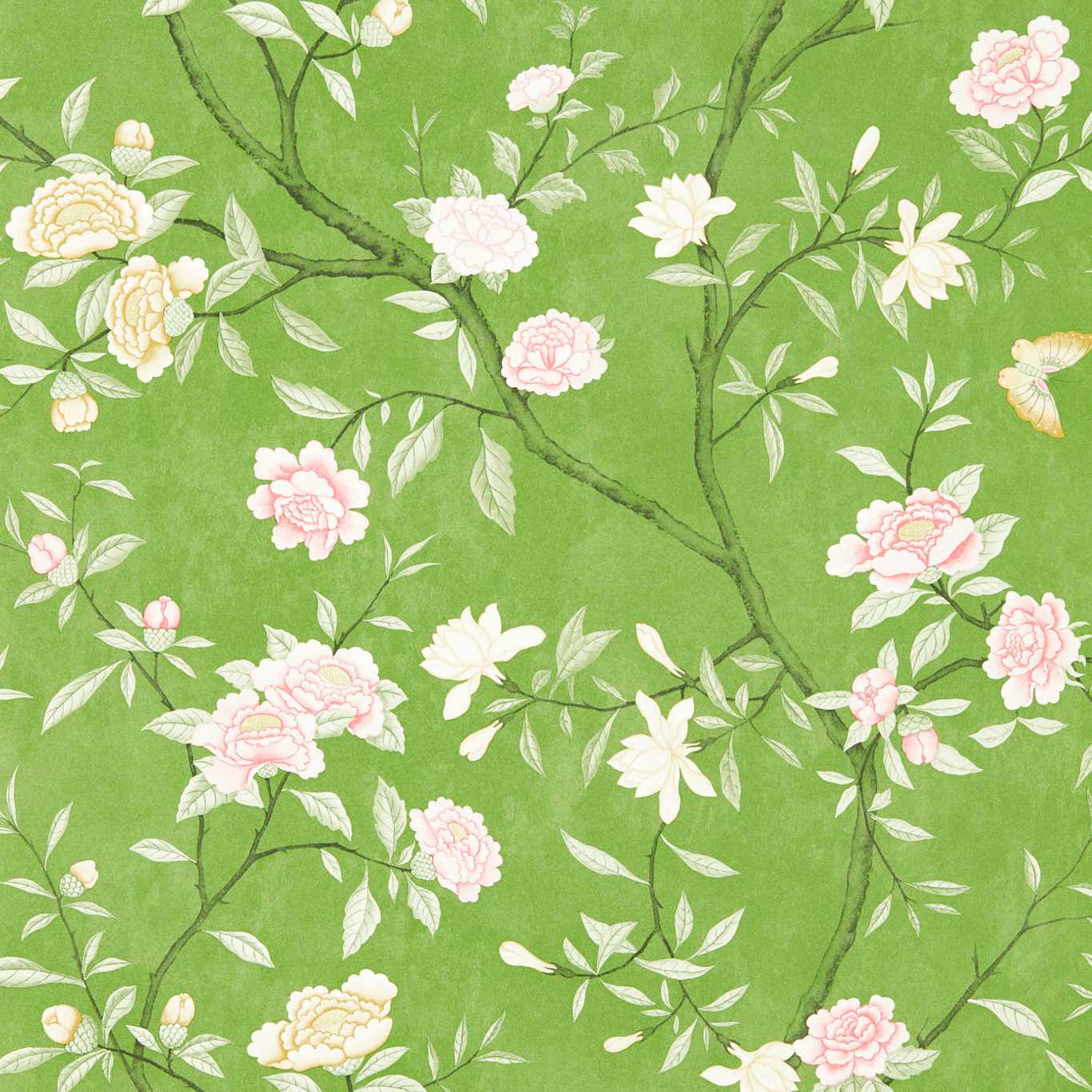 Carta da parati Zoffany Nostell Priory