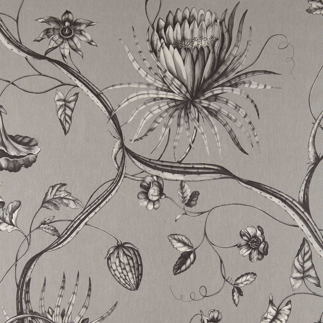 Carta da parati Zoffany Phaedra