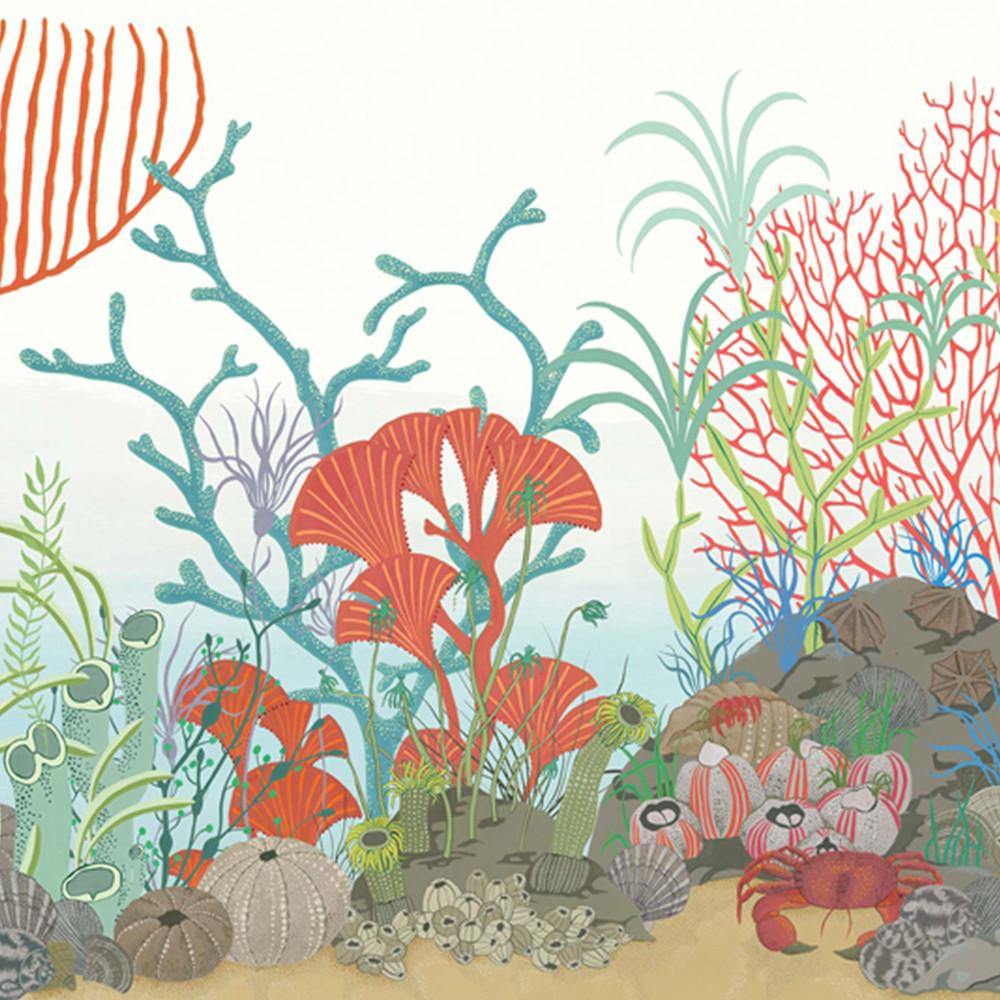 Bordo carta da parati Cole&Son Archipelago - Brand_Cole&Son, Fantasia_Fantasia - Carte da parati - Cole&Son