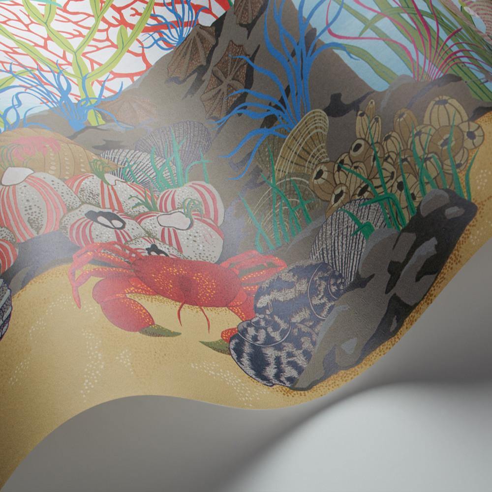 Bordo carta da parati Cole&Son Archipelago - Brand_Cole&Son, Fantasia_Fantasia - Carte da parati - Cole&Son