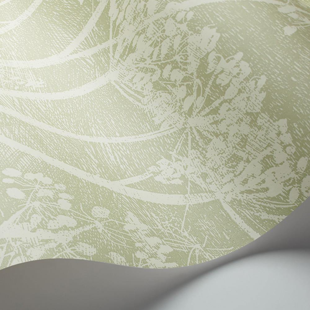 Carta da parati Cole&Son Cow Parsley - Brand_Cole&Son, Fantasia_Natura - Carte da parati - Cole&Son