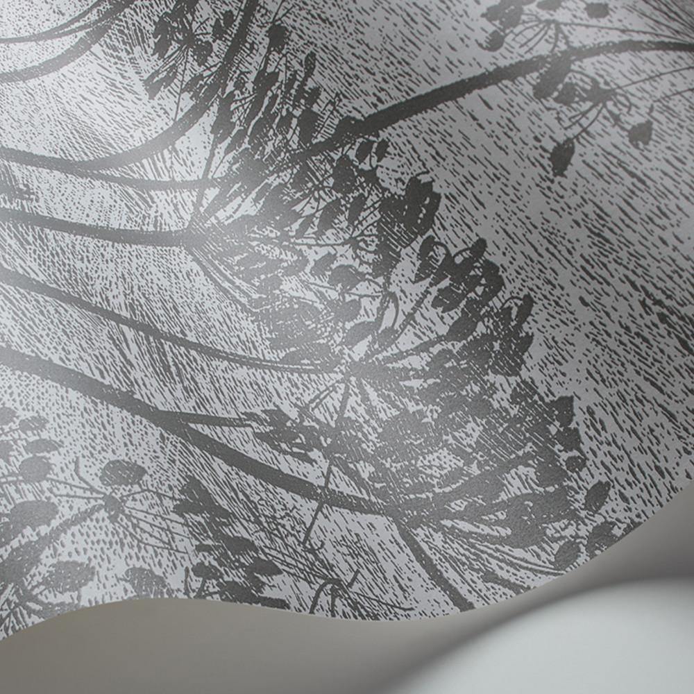 Carta da parati Cole&Son Cow Parsley - Brand_Cole&Son, Fantasia_Natura - Carte da parati - Cole&Son