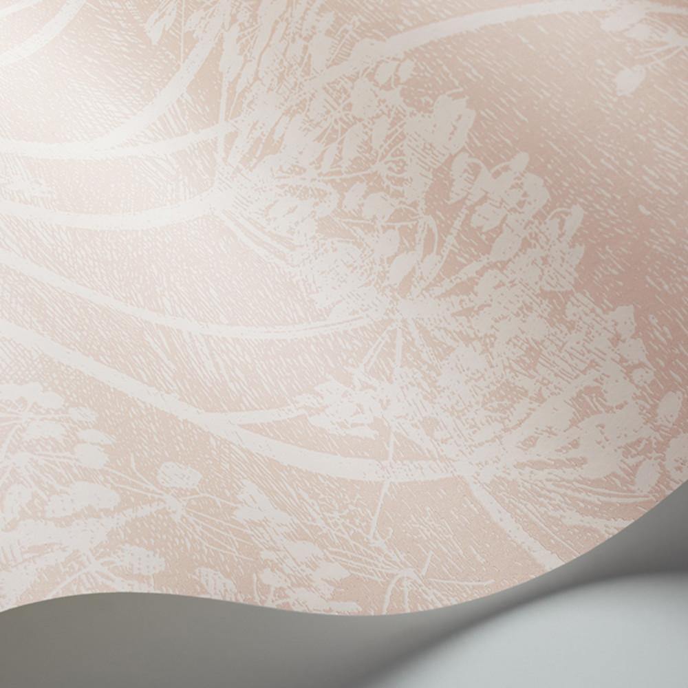 Carta da parati Cole&Son Cow Parsley - Brand_Cole&Son, Fantasia_Natura - Carte da parati - Cole&Son