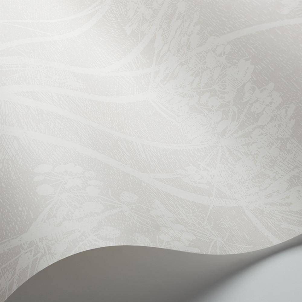 Carta da parati Cole&Son Cow Parsley - Brand_Cole&Son, Fantasia_Natura - Carte da parati - Cole&Son