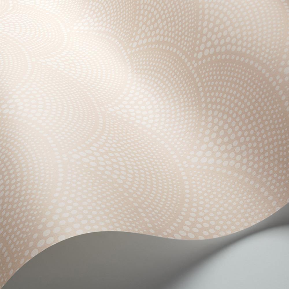 Carta da parati Cole&Son Feather Fan - Brand_Cole&Son, Fantasia_Fantasia - Carte da parati - Cole&Son