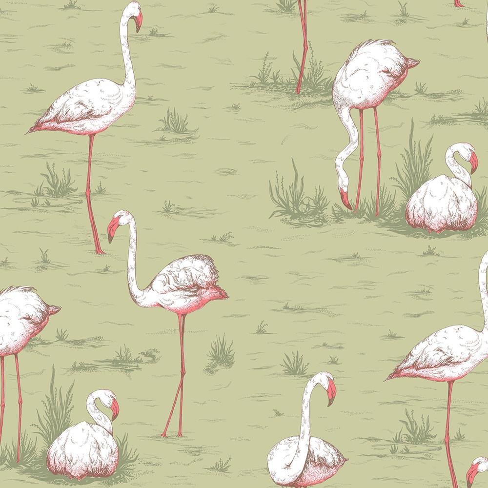 Carta da parati Cole&Son Flamingos - Brand_Cole&Son, Fantasia_Natura - Carte da parati - Cole&Son