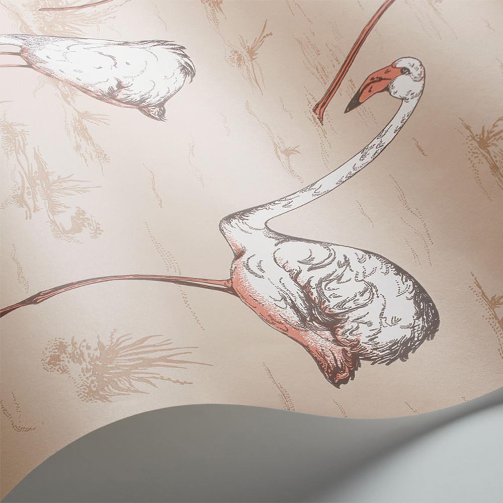 Carta da parati Cole&Son Flamingos - Brand_Cole&Son, Fantasia_Natura - Carte da parati - Cole&Son