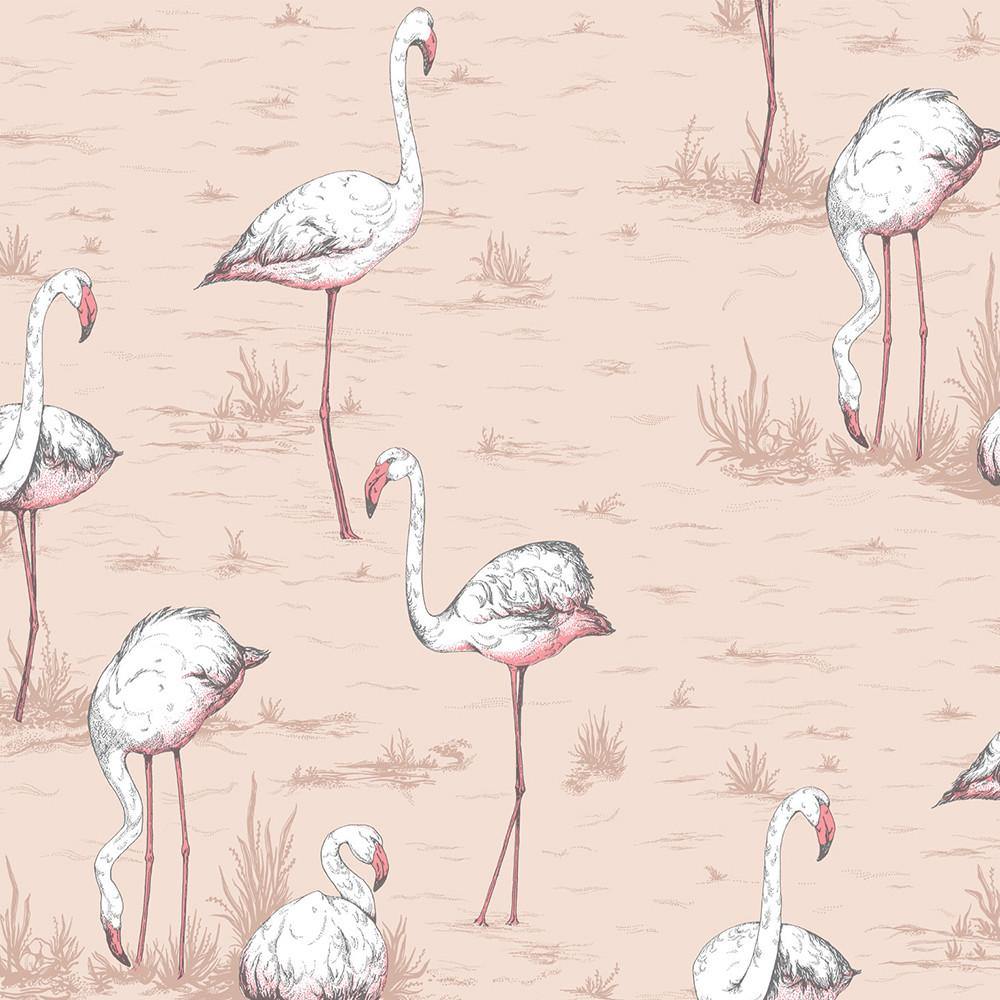Carta da parati Cole&Son Flamingos - Brand_Cole&Son, Fantasia_Natura - Carte da parati - Cole&Son