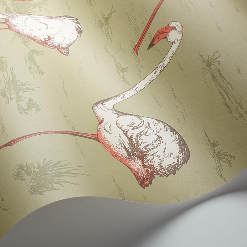 Carta da parati Cole&Son Flamingos - Brand_Cole&Son, Fantasia_Natura - Carte da parati - Cole&Son