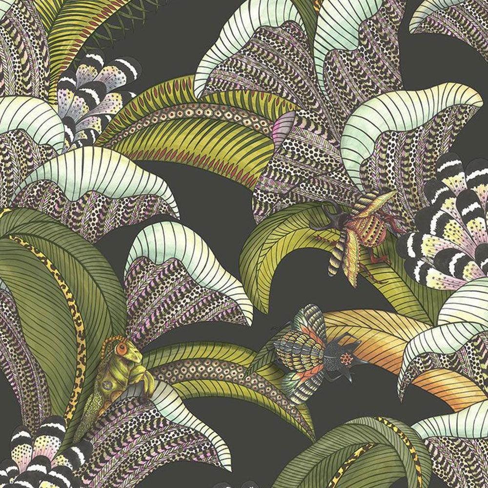 Carta da parati Cole&Son Hoopoe Leaves - Brand_Cole&Son, Fantasia_Natura - Carte da parati - Cole&Son
