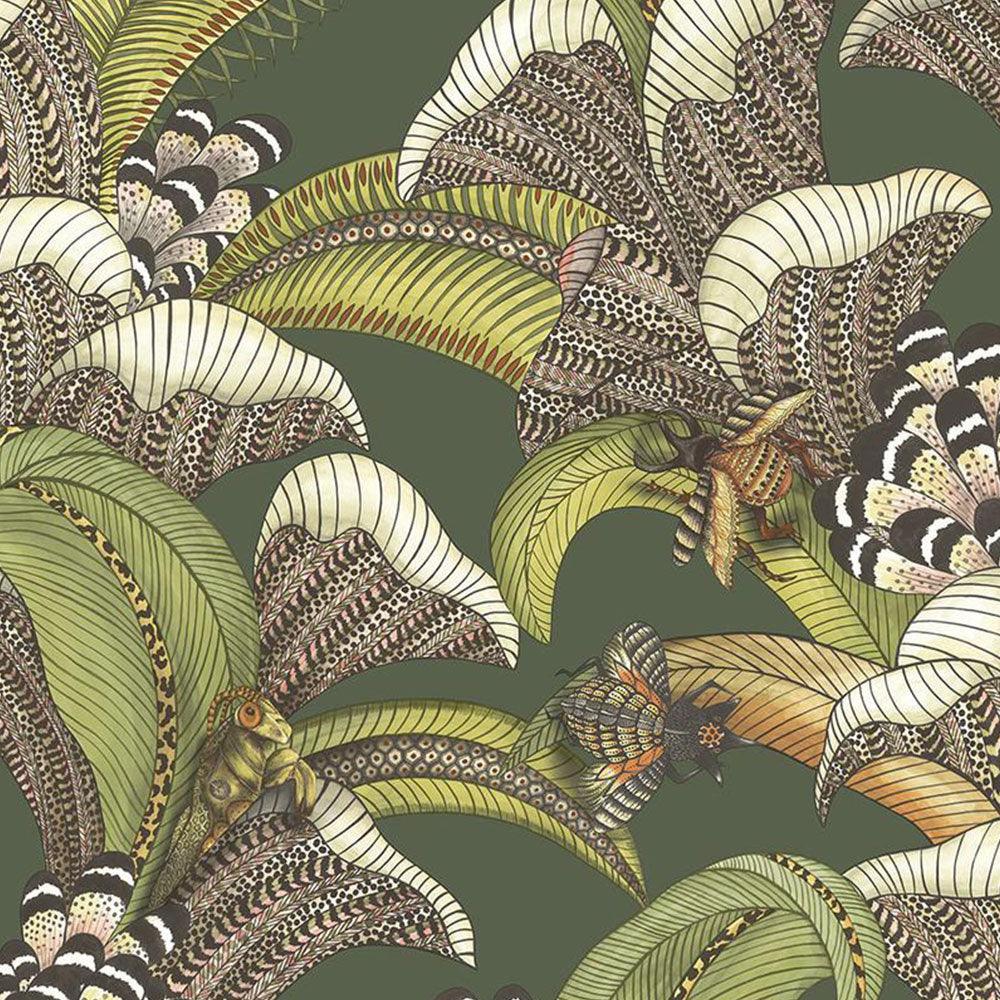 Carta da parati Cole&Son Hoopoe Leaves - Brand_Cole&Son, Fantasia_Natura - Carte da parati - Cole&Son