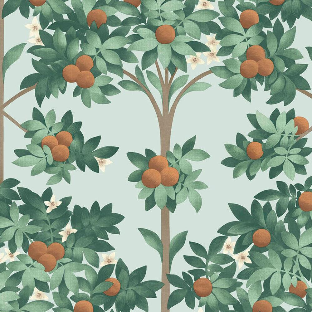 Carta da parati Cole&Son Orange Blossom - Brand_Cole&Son, Fantasia_Natura - Carte da parati - Cole&Son