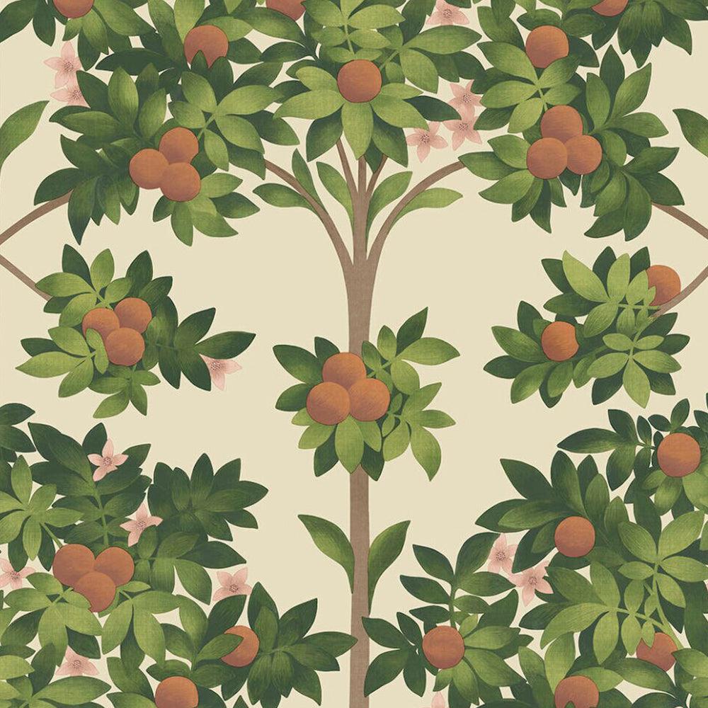 Carta da parati Cole&Son Orange Blossom - Brand_Cole&Son, Fantasia_Natura - Carte da parati - Cole&Son