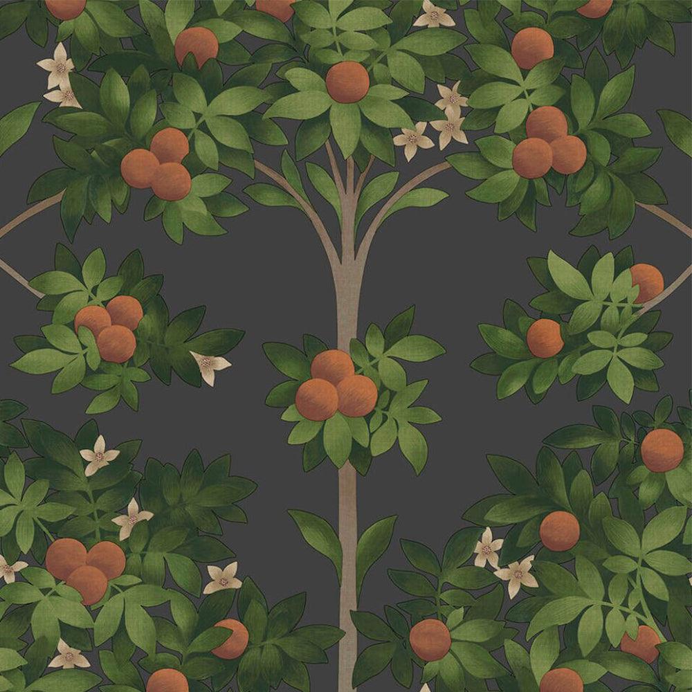 Carta da parati Cole&Son Orange Blossom - Brand_Cole&Son, Fantasia_Natura - Carte da parati - Cole&Son