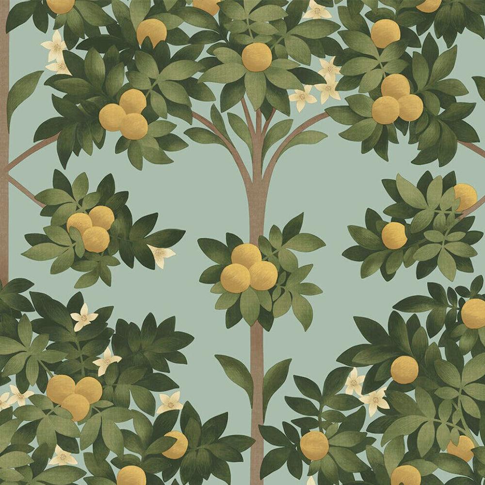 Carta da parati Cole&Son Orange Blossom - Brand_Cole&Son, Fantasia_Natura - Carte da parati - Cole&Son