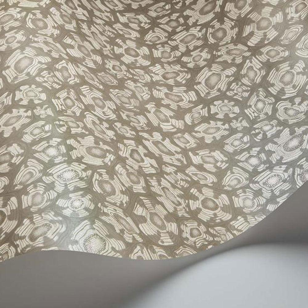 Carta da parati Cole&Son Savanna Shell - Brand_Cole&Son, Fantasia_Natura - Carte da parati - Cole&Son