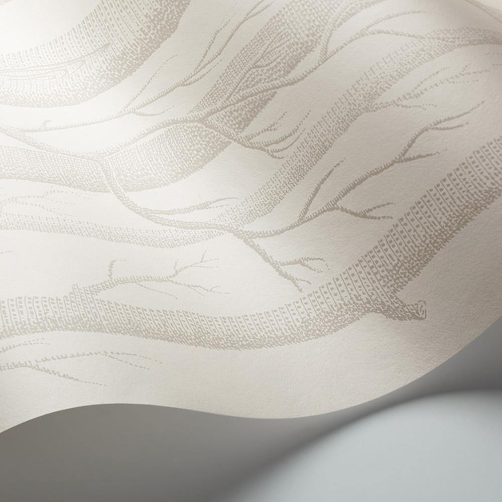 Carta da parati Cole&Son Woods - Brand_Cole&Son, Fantasia_Natura - Carte da parati - Cole&Son