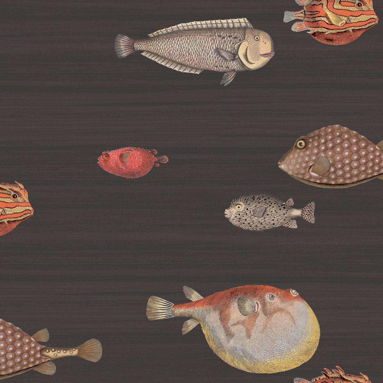 Carta da parati Cole&Sons Acquario Fornasetti - Brand_Cole&Son, Fantasia_Fantasia, Fantasia_Natura - Carte da parati - Cole&Son