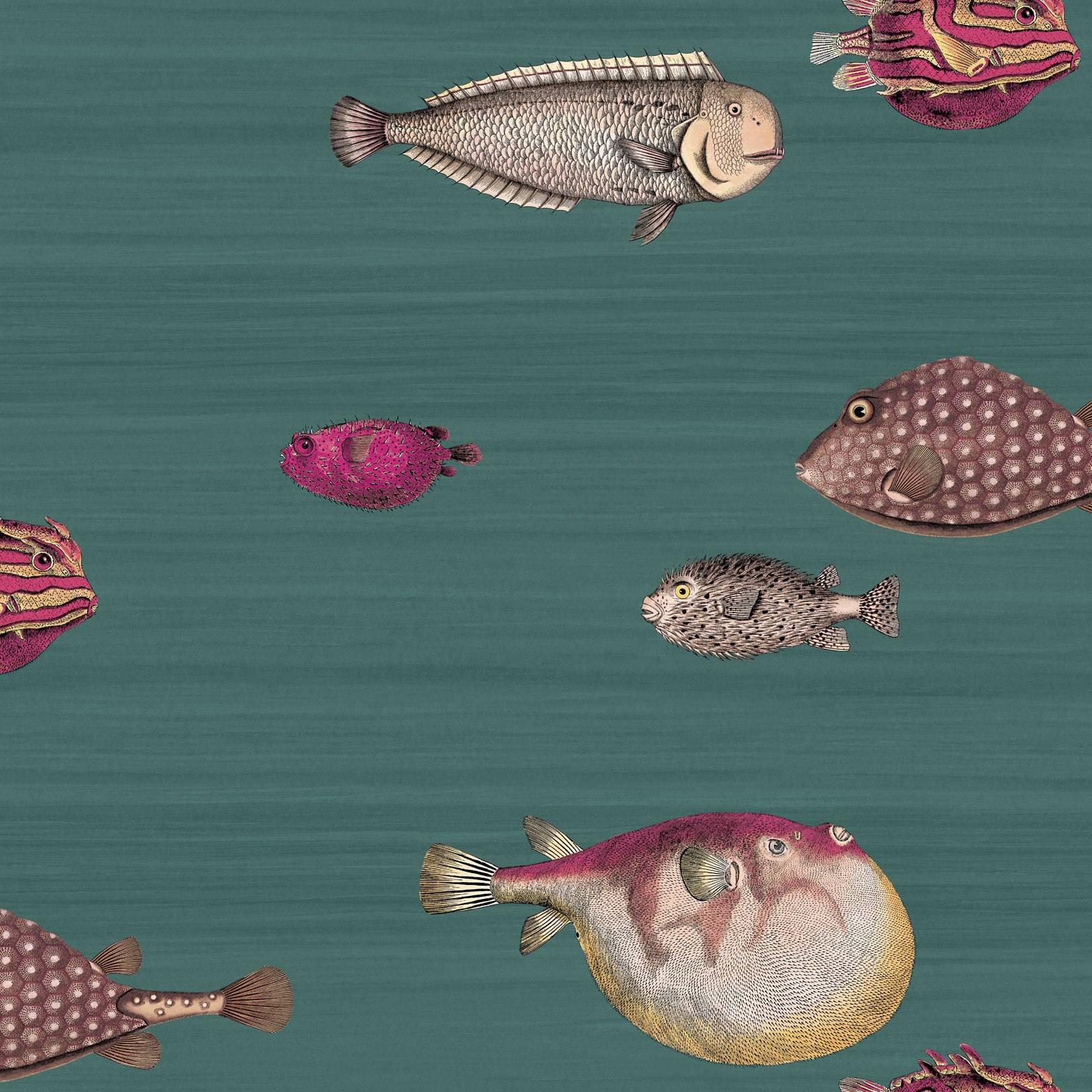 Carta da parati Cole&Sons Acquario Fornasetti - Brand_Cole&Son, Fantasia_Fantasia, Fantasia_Natura - Carte da parati - Cole&Son
