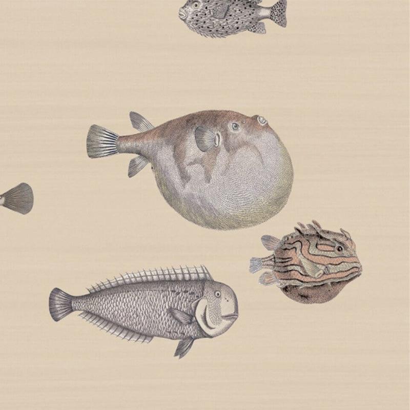 Carta da parati Cole&Sons Acquario Fornasetti - Brand_Cole&Son, Fantasia_Fantasia, Fantasia_Natura - Carte da parati - Cole&Son