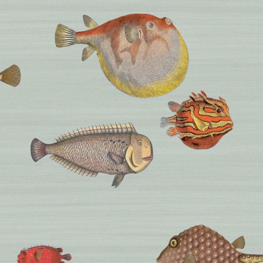 Carta da parati Cole&Sons Acquario Fornasetti - Brand_Cole&Son, Fantasia_Fantasia, Fantasia_Natura - Carte da parati - Cole&Son