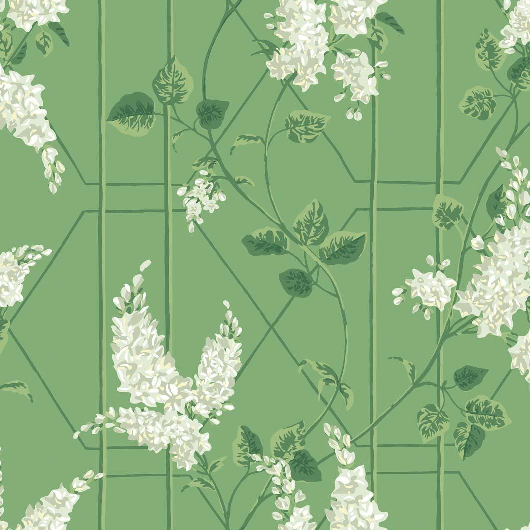 Carta da parati Cole&Sons Wisteria - Brand_Cole&Son, Fantasia_Natura - Carte da parati - Cole&Son