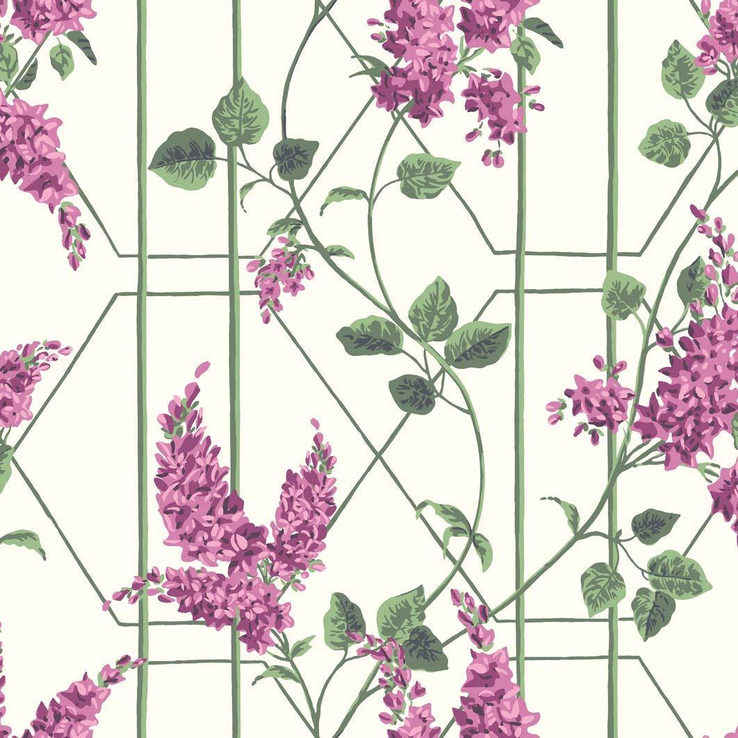 Carta da parati Cole&Sons Wisteria - Brand_Cole&Son, Fantasia_Natura - Carte da parati - Cole&Son