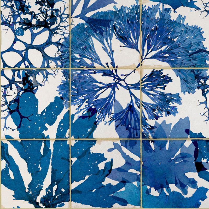 Carta da parati Mindthegap Algae in Blue - Brand_Mindthegap, Fantasia_Fantasia - Carte da parati - Mindthegap