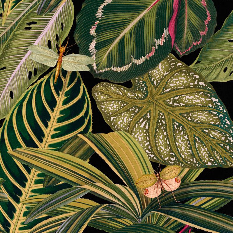 Carta da parati Mindthegap Amazonia - Brand_Mindthegap, Fantasia_Natura - Carte da parati - Mindthegap