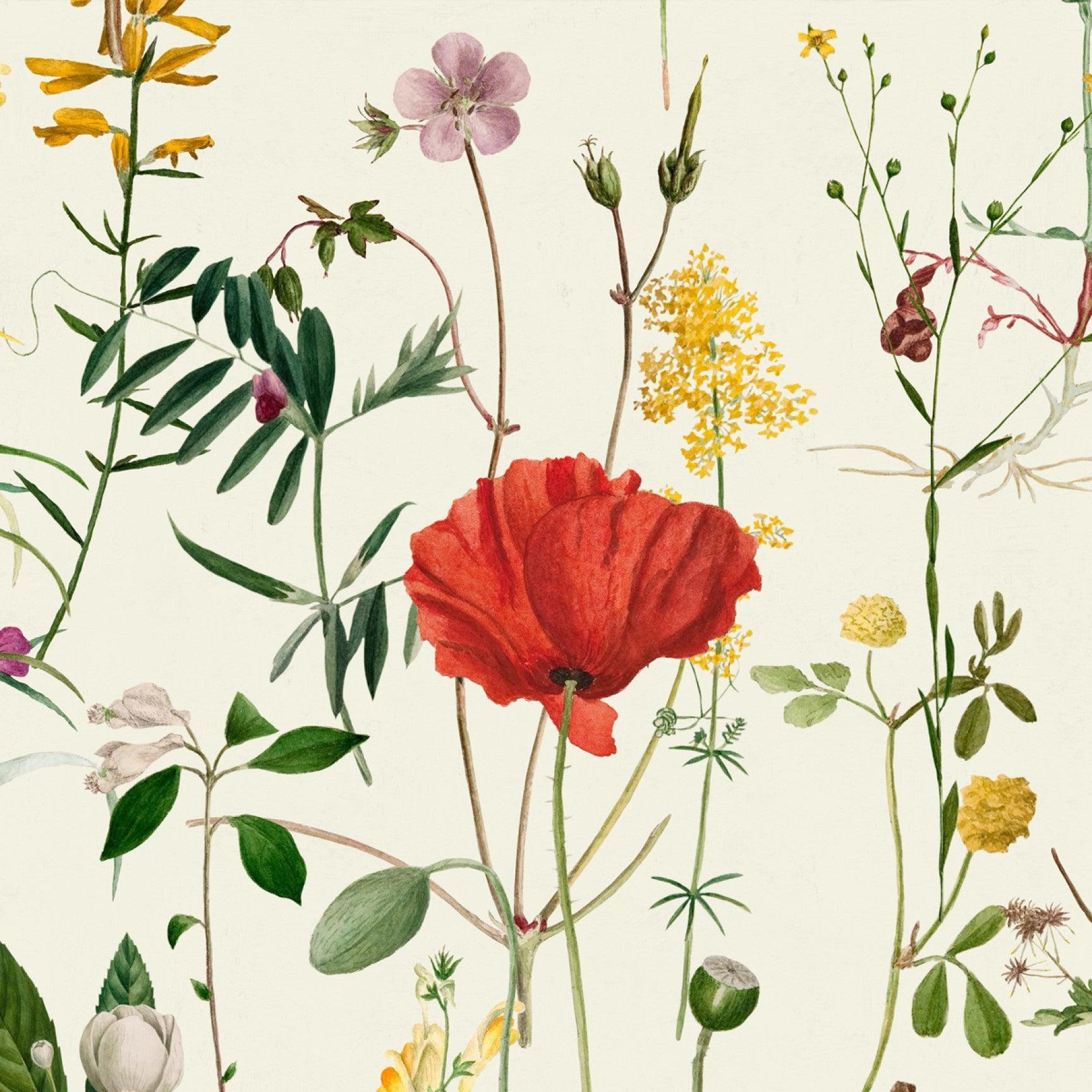 Carta da parati Mindthegap Aquafleur - Brand_Mindthegap, Fantasia_Natura - Carte da parati - Mindthegap