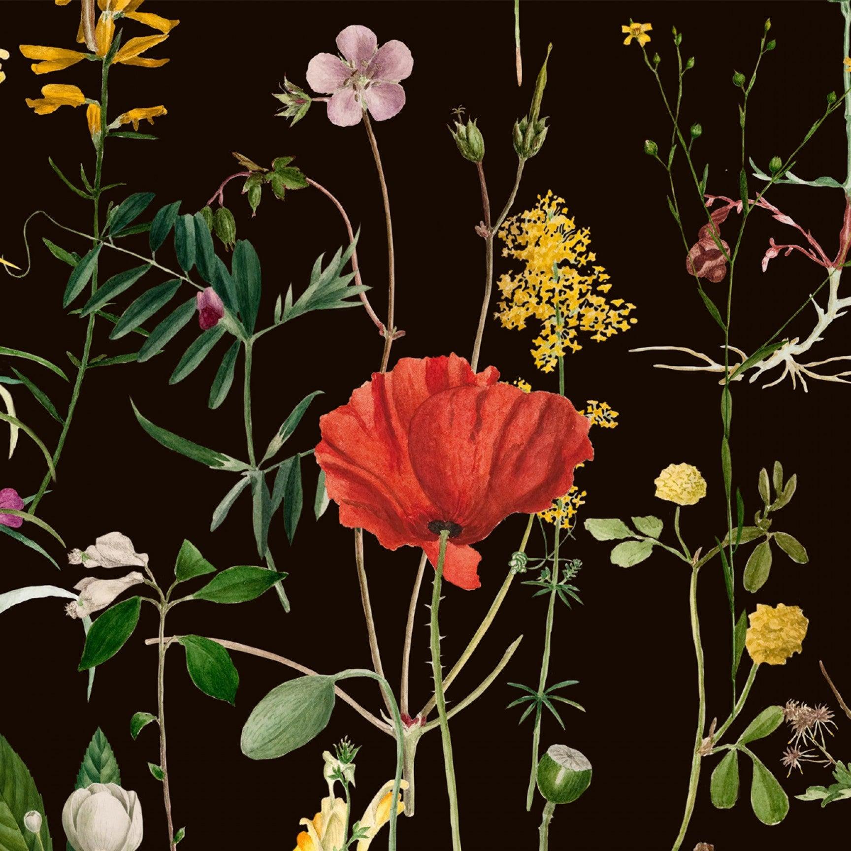 Carta da parati Mindthegap Aquafleur - Brand_Mindthegap, Fantasia_Natura - Carte da parati - Mindthegap