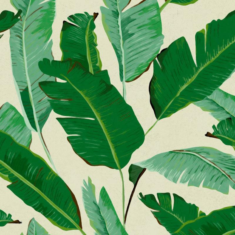 Carta da parati Mindthegap Banana Leaves - Brand_Mindthegap, Fantasia_Natura - Carte da parati - Mindthegap