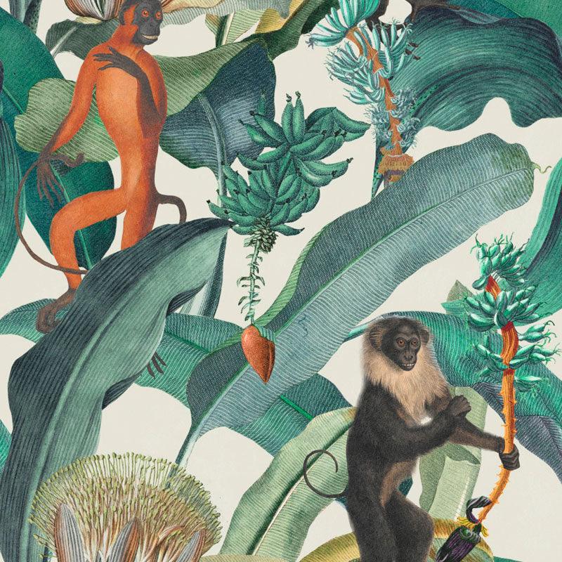 Carta da parati Mindthegap Berduma - Brand_Mindthegap, Fantasia_Natura - Carte da parati - Mindthegap