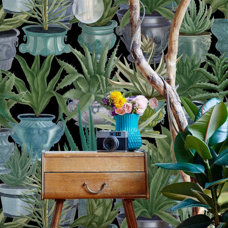 Carta da parati Mindthegap Echeveria - Brand_Mindthegap, Fantasia_Natura - Carte da parati - Mindthegap