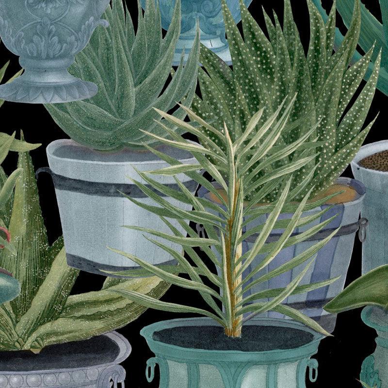 Carta da parati Mindthegap Echeveria - Brand_Mindthegap, Fantasia_Natura - Carte da parati - Mindthegap