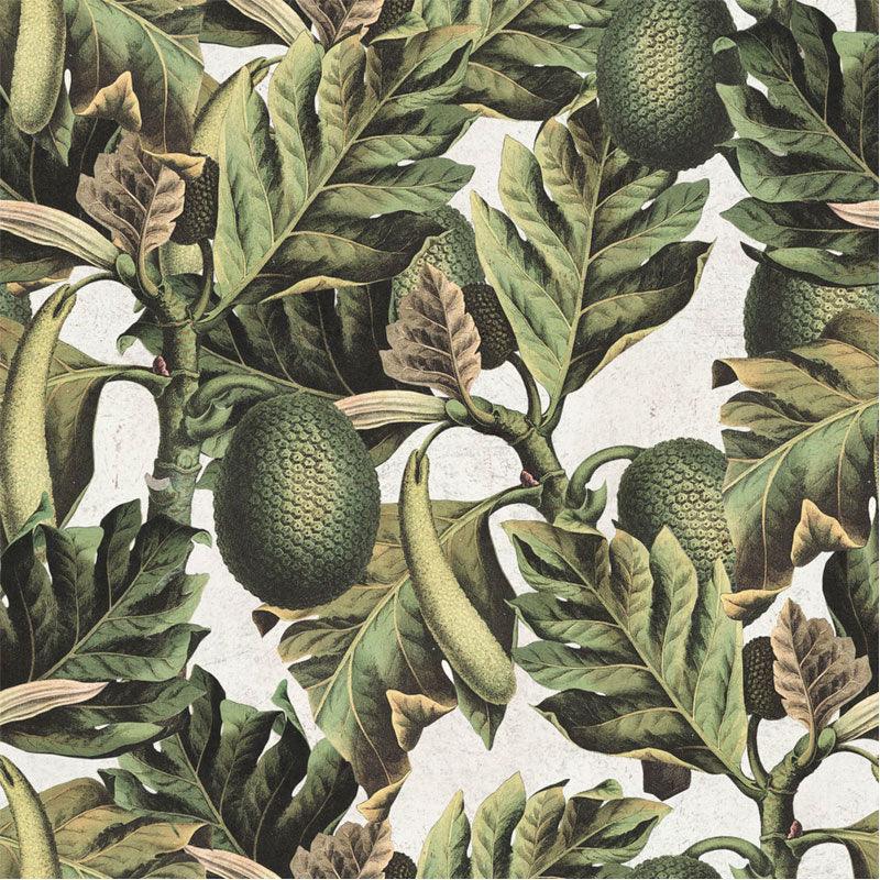 Carta da parati Mindthegap Exotic Fruit I - Brand_Mindthegap, Fantasia_Natura - Carte da parati - Mindthegap