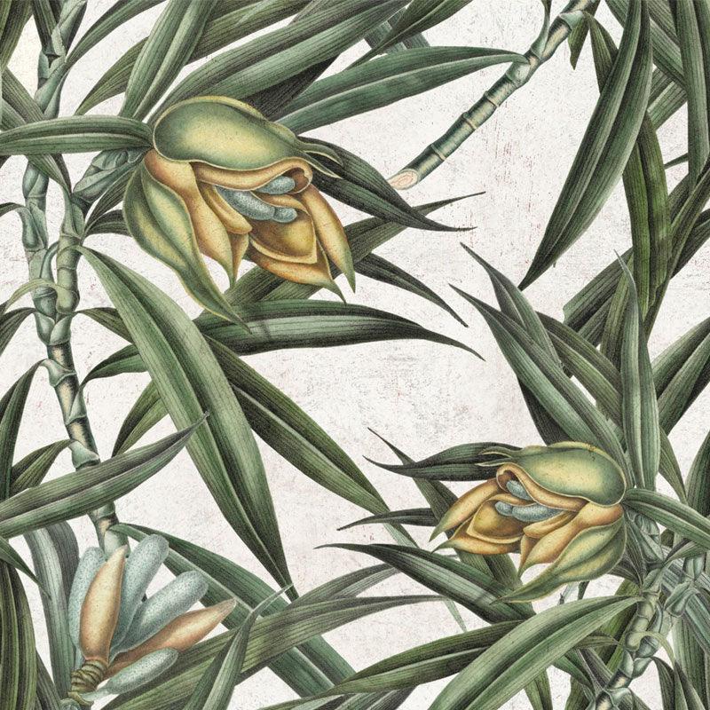 Carta da parati Mindthegap Exotic Fruit II - Brand_Mindthegap, Fantasia_Natura - Carte da parati - Mindthegap