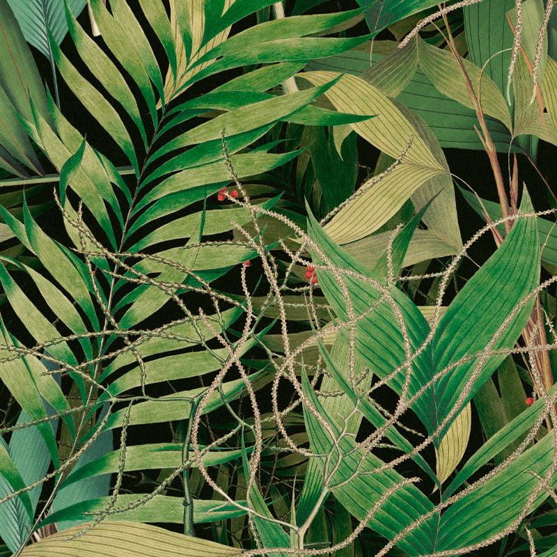 Carta da parati Mindthegap Exotic Garden - Brand_Mindthegap, Fantasia_Natura - Carte da parati - Mindthegap