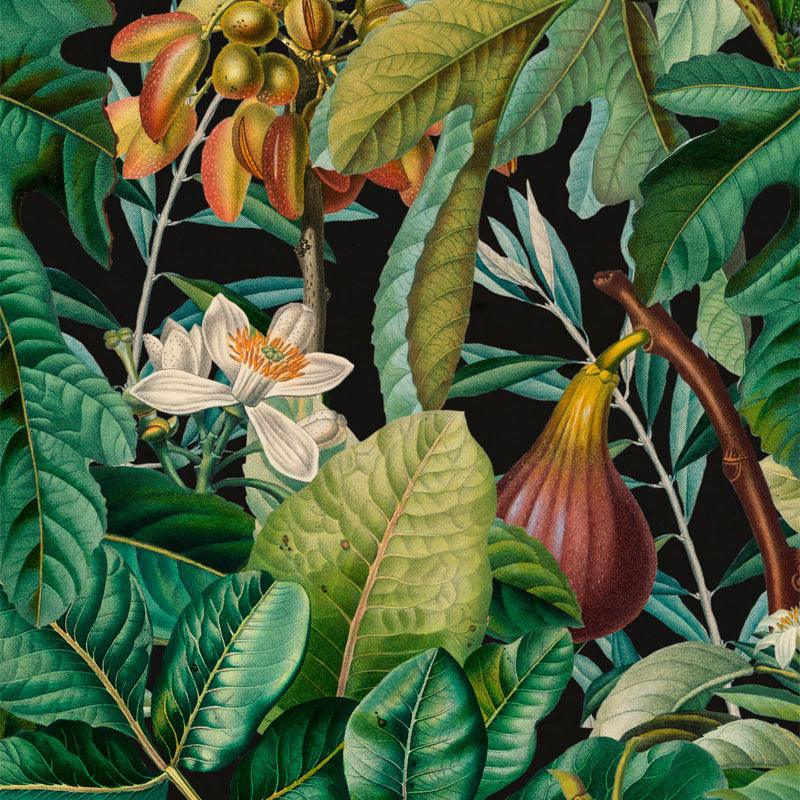 Carta da parati Mindthegap Figs and Dates - Brand_Mindthegap, Fantasia_Natura - Carte da parati - Mindthegap