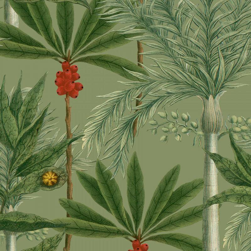 Carta da parati Mindthegap Madagascar - Brand_Mindthegap, Fantasia_Natura - Carte da parati - Mindthegap