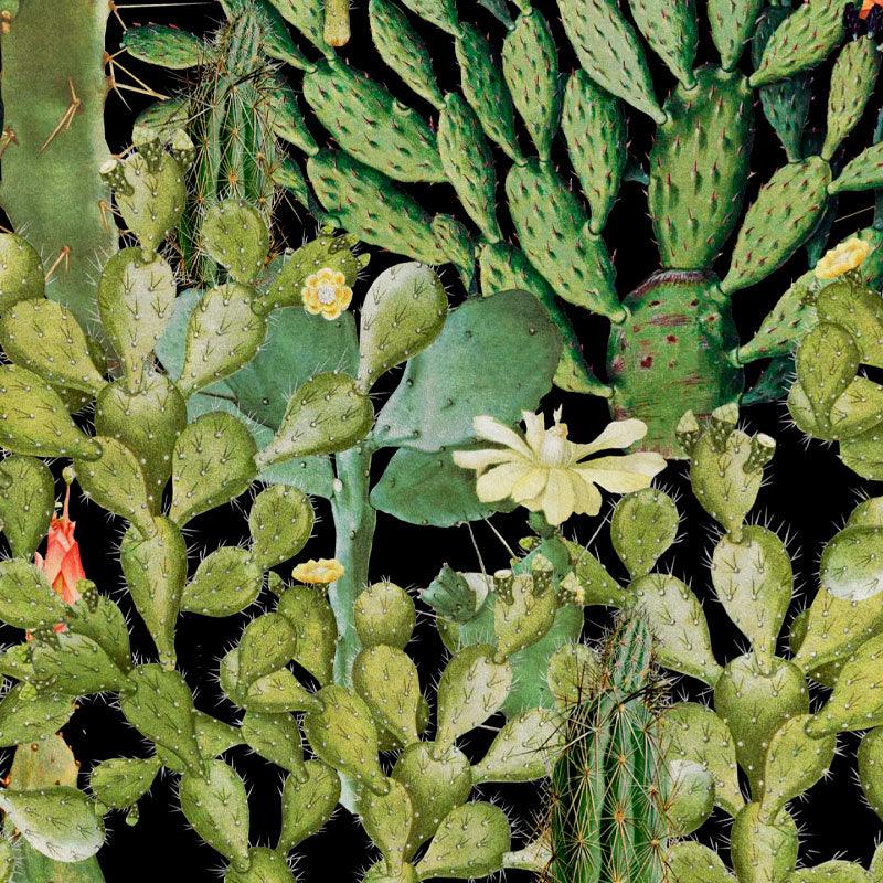 Carta da parati Mindthegap Opuntia - Brand_Mindthegap, Fantasia_Natura - Carte da parati - Mindthegap
