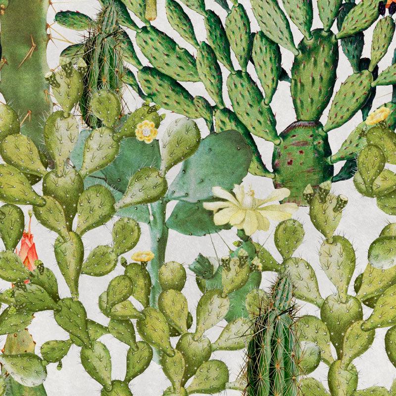 Carta da parati Mindthegap Opuntia - Brand_Mindthegap, Fantasia_Natura - Carte da parati - Mindthegap